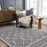 Hauteloom Limited Edition HSSODIAH8A1 Black Machine Made Polypropylene Rug