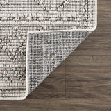 Hauteloom Diah HSSODIAH8A2 Beige Machine Made Polypropylene Rug