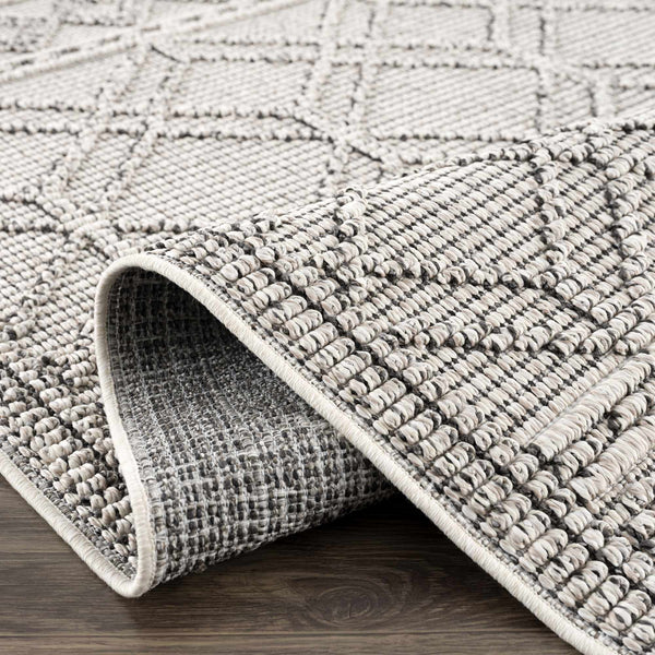 Hauteloom Diah HSSODIAH8A2 Beige Machine Made Polypropylene Rug