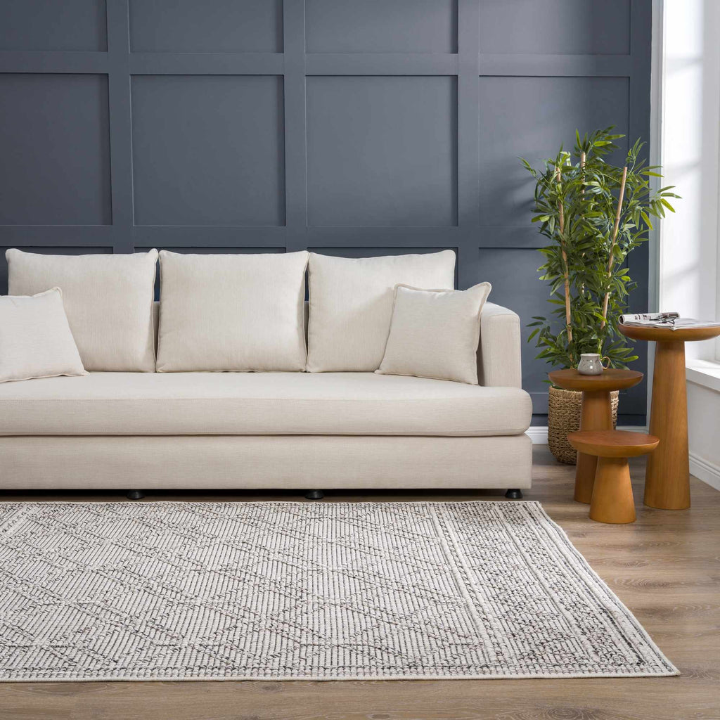 Hauteloom Diah HSSODIAH8A2 Beige Machine Made Polypropylene Rug