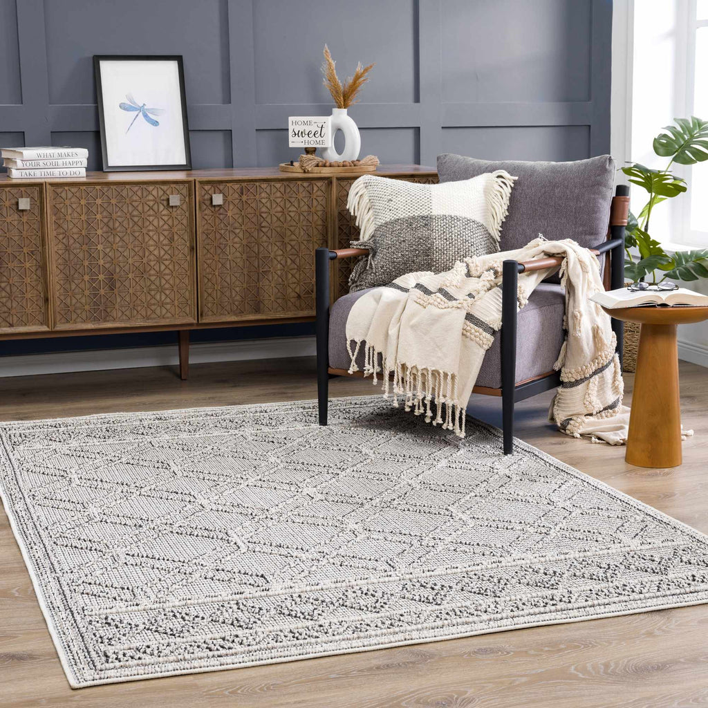Hauteloom Diah HSSODIAH8A2 Beige Machine Made Polypropylene Rug
