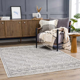 Hauteloom Diah HSSODIAH8A2 Beige Machine Made Polypropylene Rug