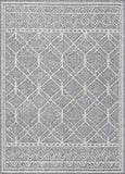 Hauteloom Limited Edition HSSODIAH8A3 Slate Blue Machine Made Polypropylene Rug