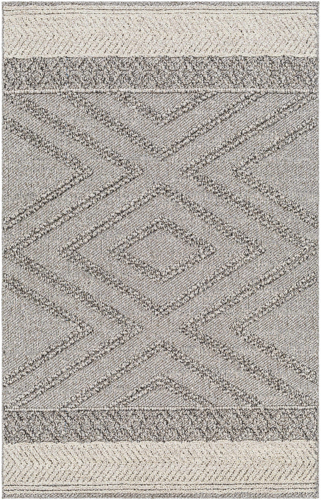 Hauteloom Areli SSSBARELIA4 Taupe Machine Made Polypropylene Rug