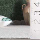 safavieh clearance stella sta106b ivory rug