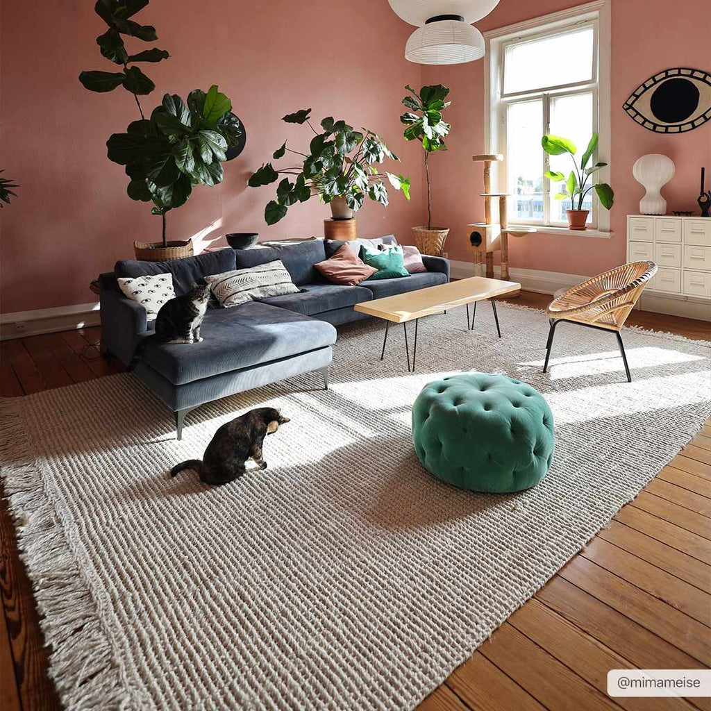 Hauteloom Senneterre SENN Cream Woven/Flatwoven Jute Rug