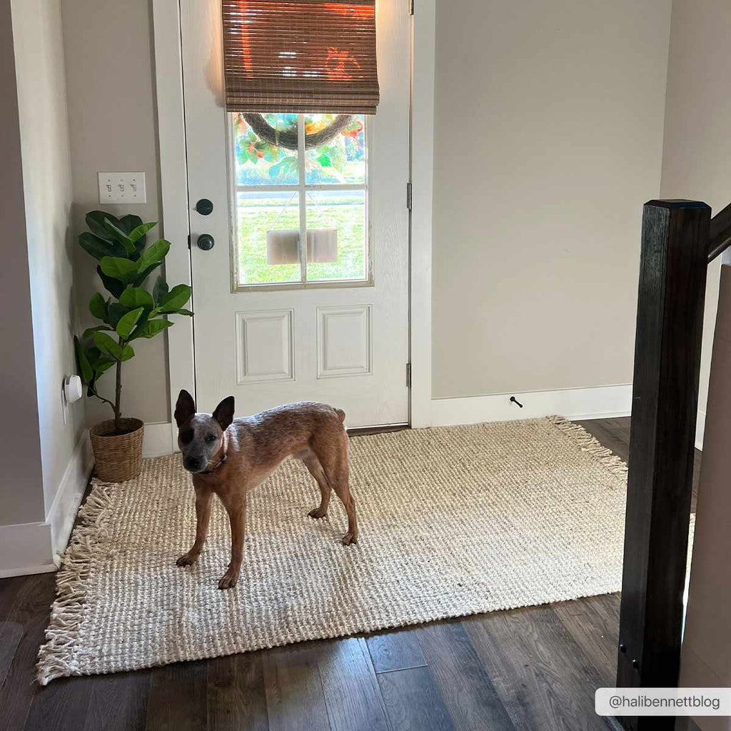 Hauteloom Senneterre SENN Cream Woven/Flatwoven Jute Rug