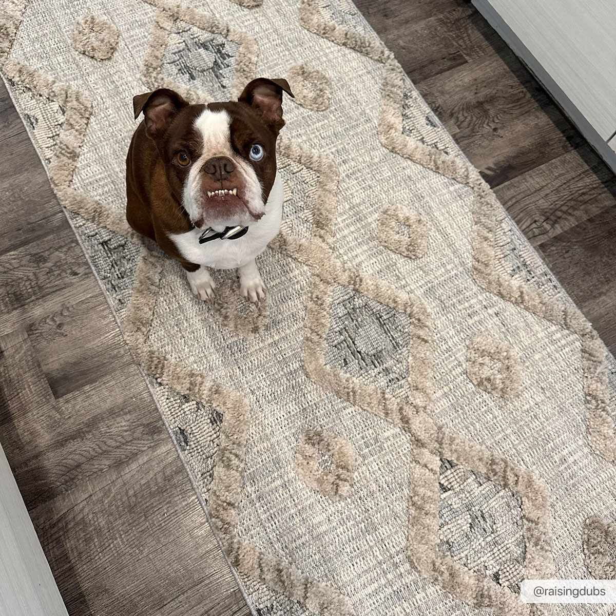 Hauteloom Serkomen HZRZSERKOA1 Gray Machine Made Polyester Rug