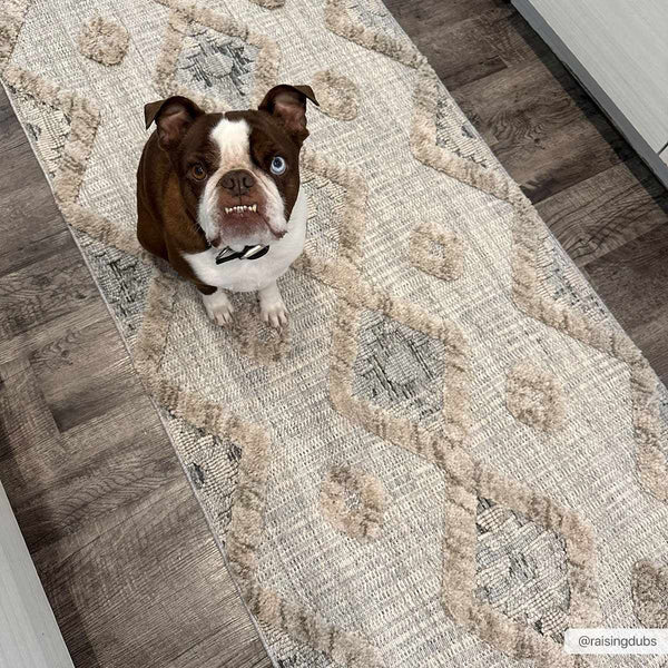 Hauteloom Serkomen HZRZSERKOA1 Gray Machine Made Polyester Rug