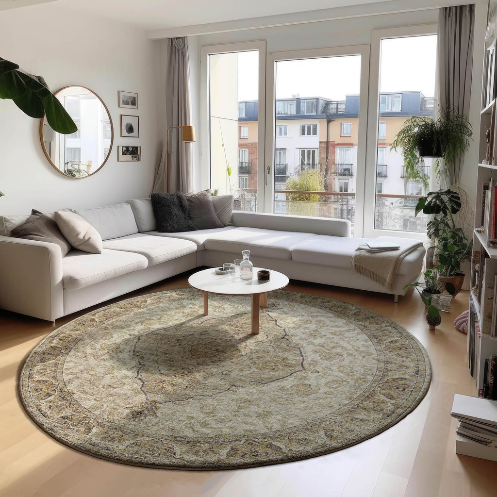 dalyn tuscany tu9 gold rug