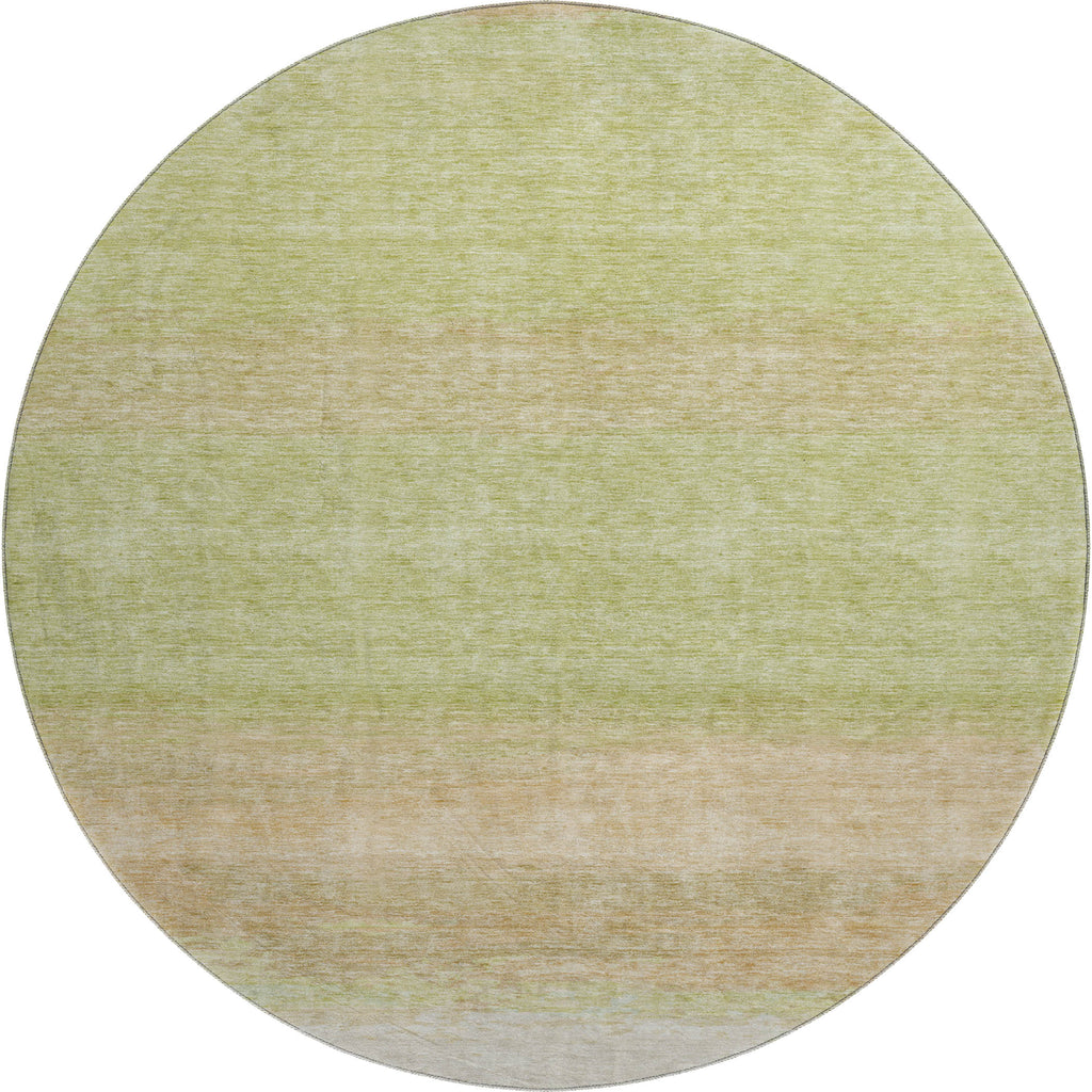 dalyn trevi tv2 aloe rug