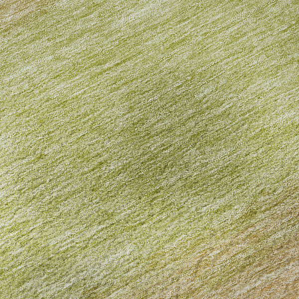dalyn trevi tv2 aloe rug