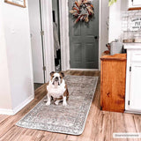 Hauteloom Jill JILL Dark Brown Machine Made Polyester Rug