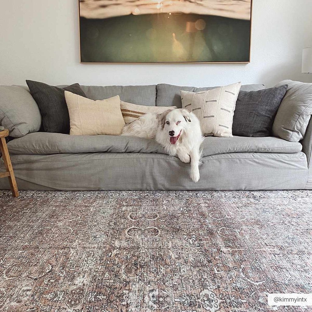 Hauteloom Jill JILL Dark Brown Machine Made Polyester Rug