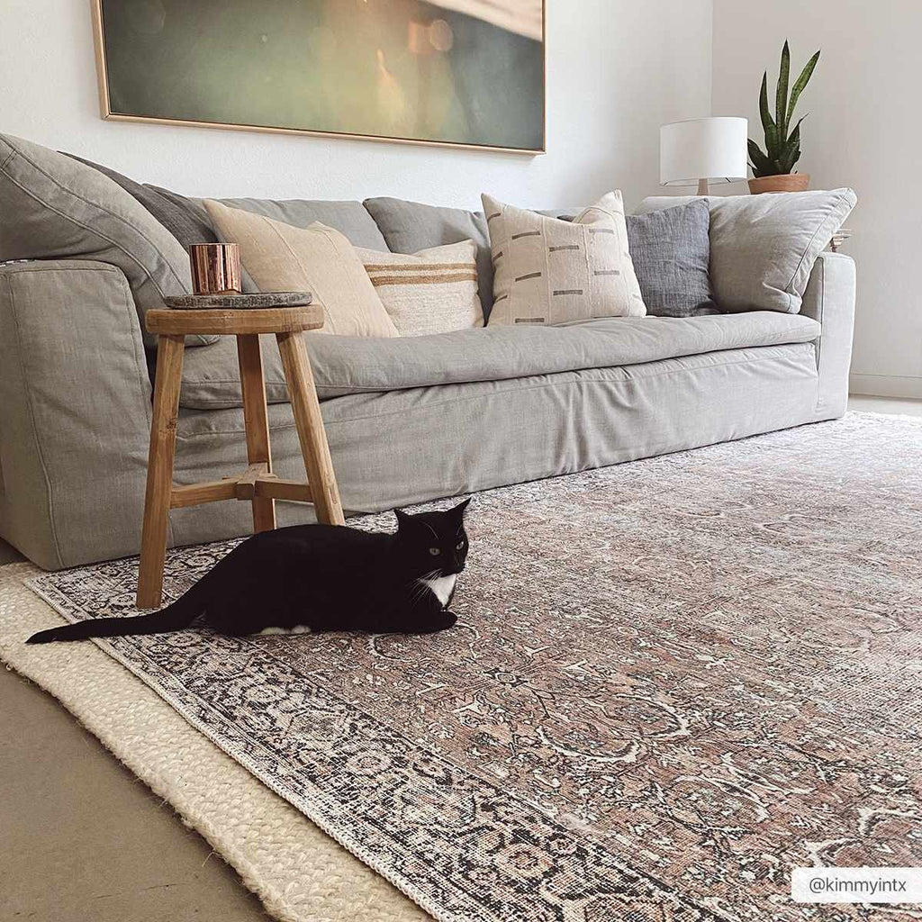 Hauteloom Jill JILL Dark Brown Machine Made Polyester Rug