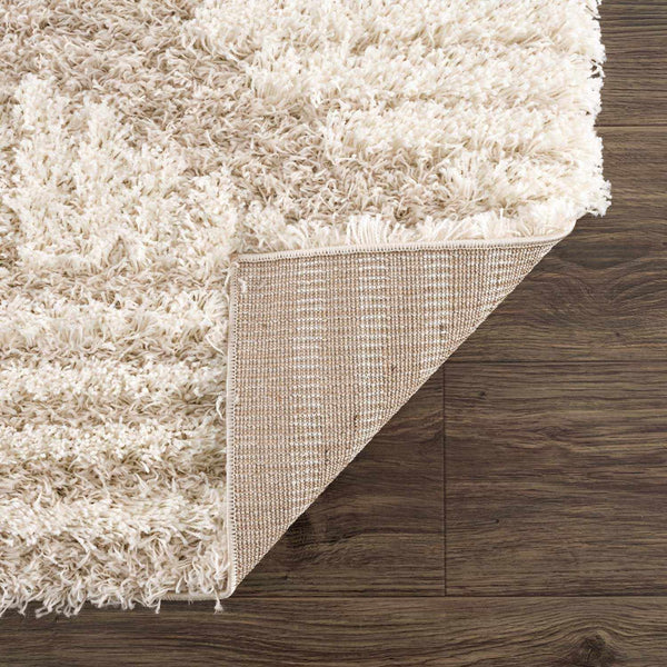 Hauteloom Igor IGO Beige Machine Made Polypropylene Rug