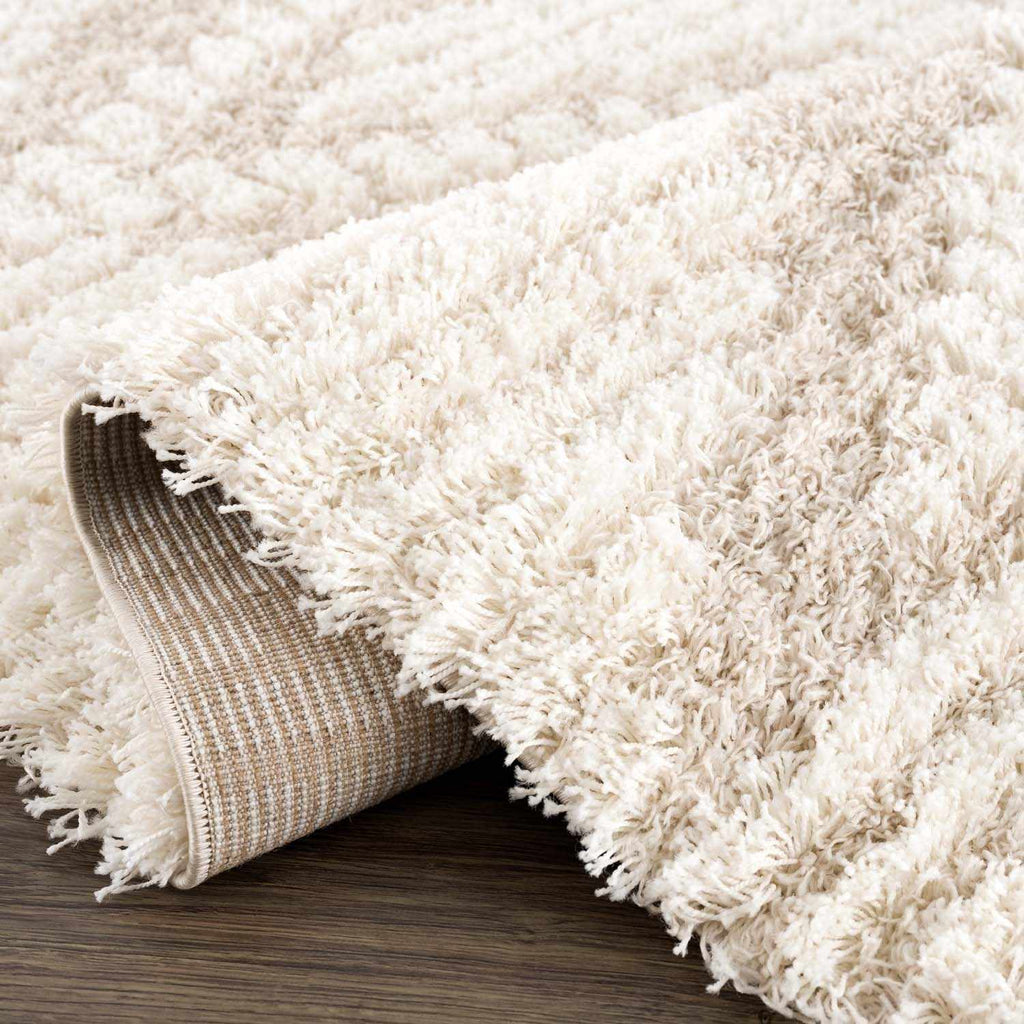 Hauteloom Igor IGO Beige Machine Made Polypropylene Rug