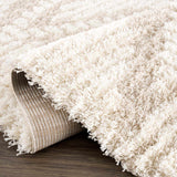 Hauteloom Igor IGO Beige Machine Made Polypropylene Rug