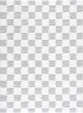 Hauteloom Atira SUSGATIRBA4 Light Gray Machine Made Polypropylene Rug