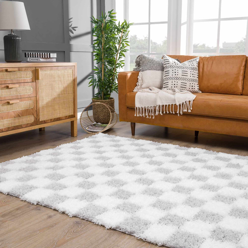 Hauteloom Atira SUSGATIRBA4 Light Gray Machine Made Polypropylene Rug