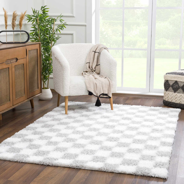 Hauteloom Atira SUSGATIRBA4 Light Gray Machine Made Polypropylene Rug