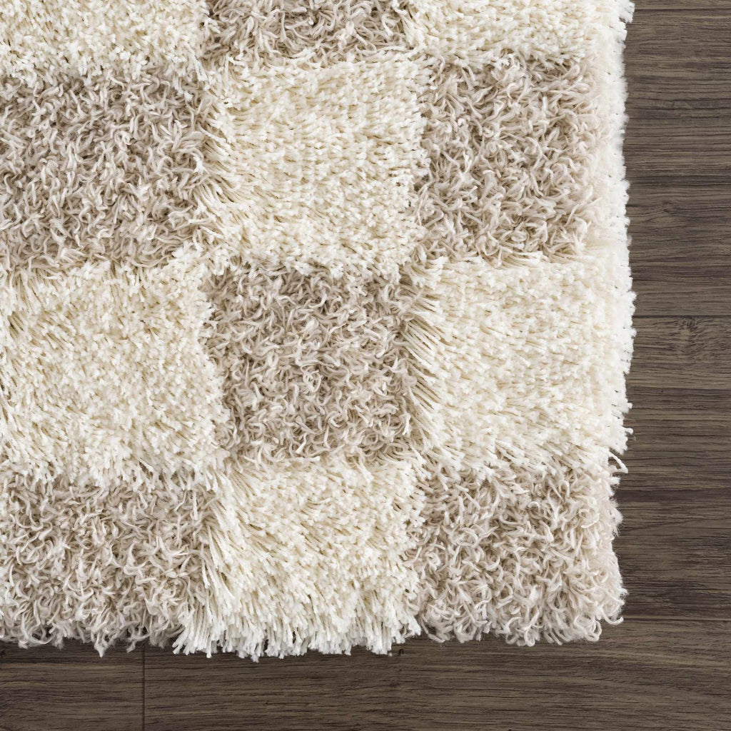 Hauteloom Atira SUSGATIRBA5 Cream Machine Made Polypropylene Rug