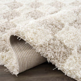 Hauteloom Atira SUSGATIRBA5 Cream Machine Made Polypropylene Rug