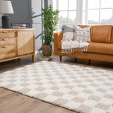 Hauteloom Atira SUSGATIRBA5 Cream Machine Made Polypropylene Rug