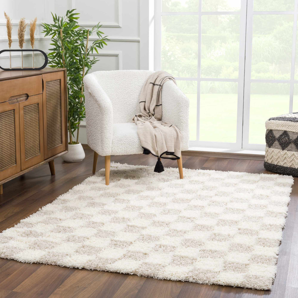Hauteloom Atira SUSGATIRBA5 Cream Machine Made Polypropylene Rug