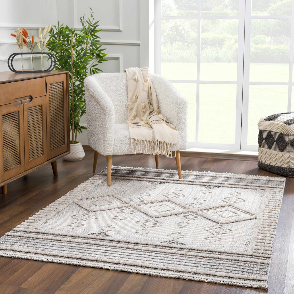 Hauteloom Amaga AMAGA Charcoal Machine Made Polyester Rug