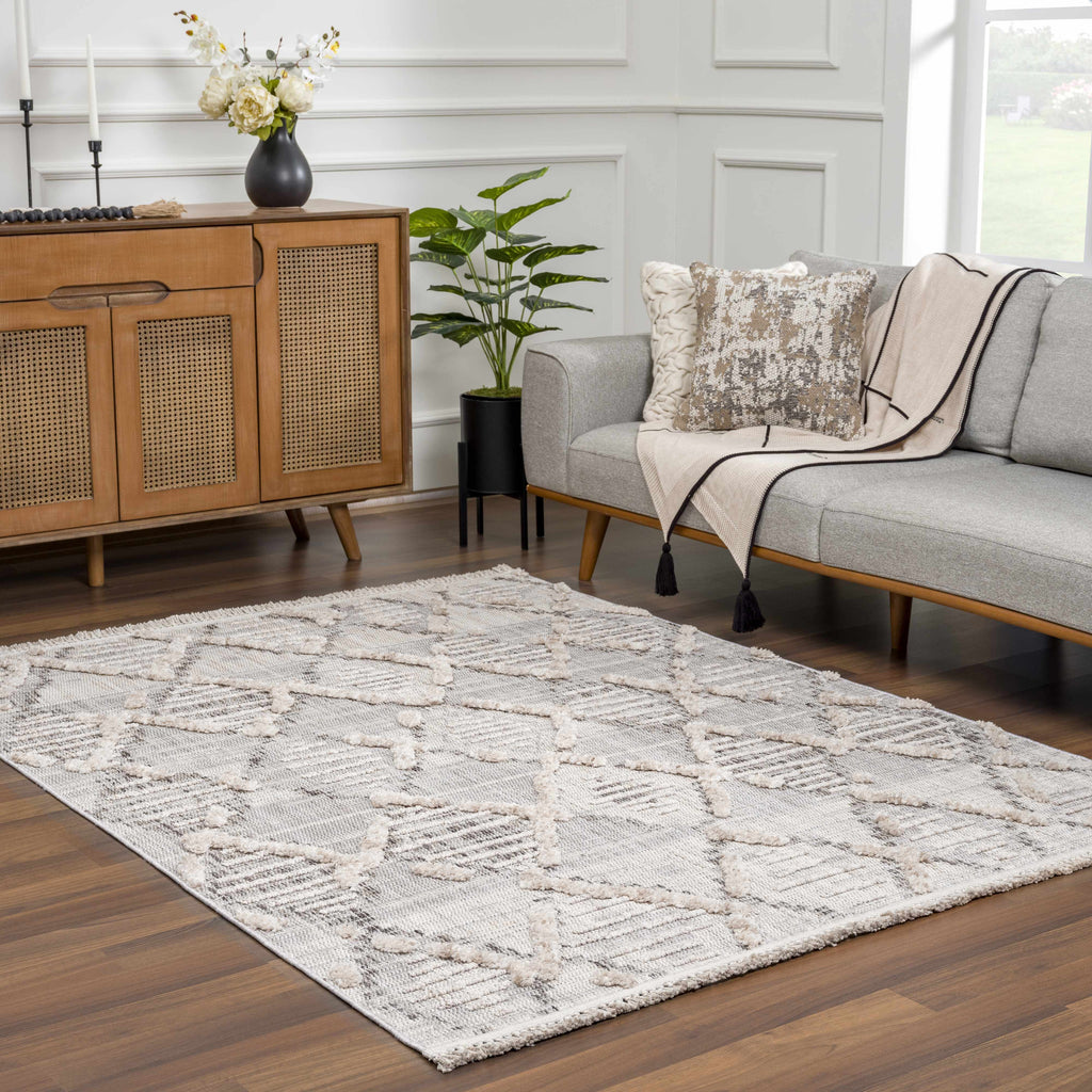 Hauteloom Bogtong BOGT Charcoal Machine Made Polyester Rug