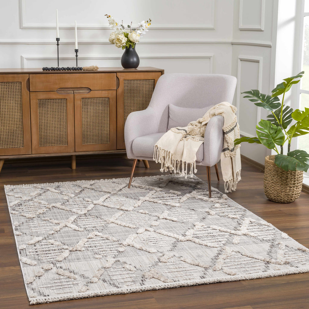 Hauteloom Bogtong BOGT Charcoal Machine Made Polyester Rug