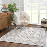 Hauteloom Bogtong BOGT Charcoal Machine Made Polyester Rug