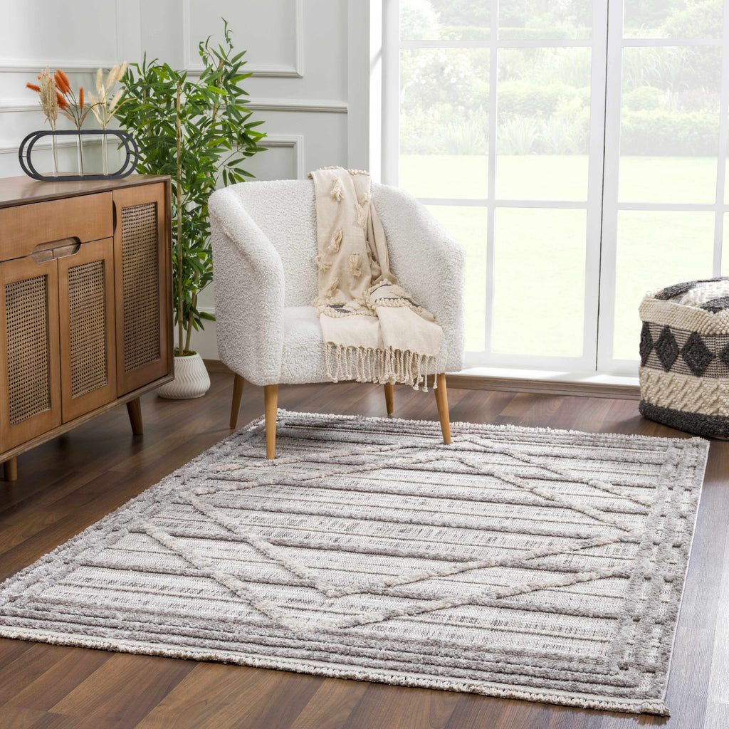 Hauteloom Barurao BARU Charcoal Machine Made Polyester Rug