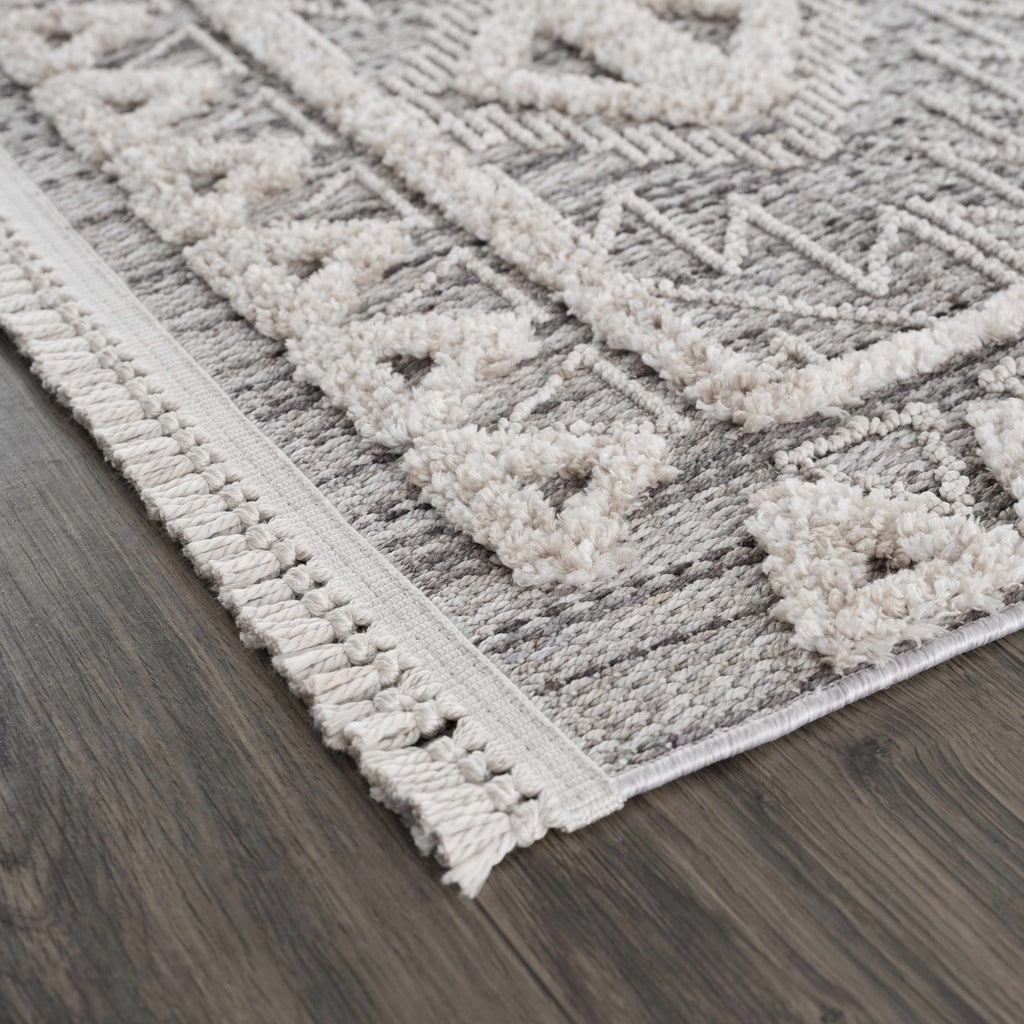 Hauteloom Agoo AGOO Charcoal Machine Made Polyester Rug