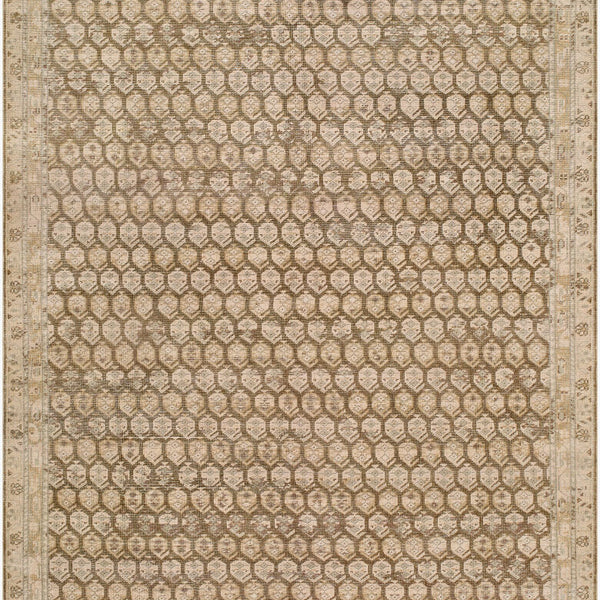 surya agra aaa 2304 taupe rug