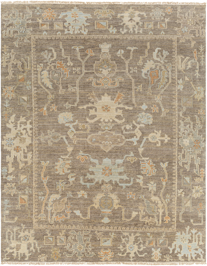 surya antalya aat 2303 dark brown rug
