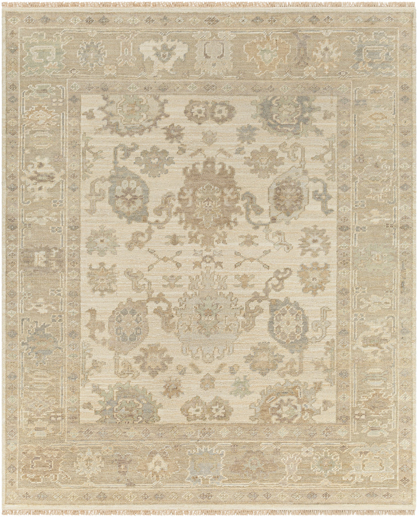 surya antalya aat 2304 brown rug