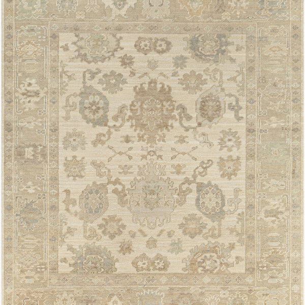 surya antalya aat 2304 brown rug