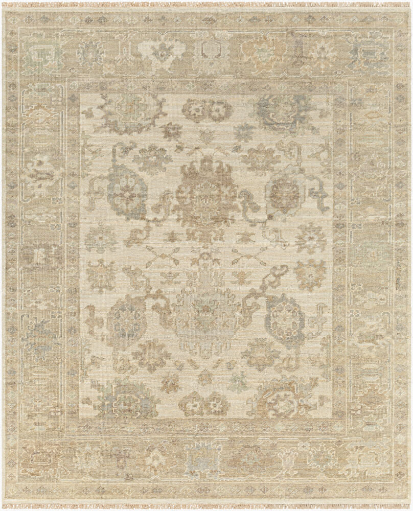 surya antalya aat 2304 brown rug