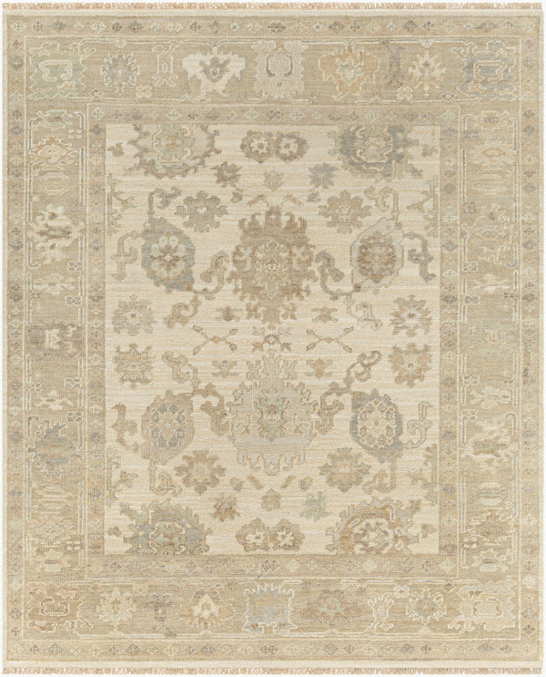 surya antalya aat 2304 brown rug