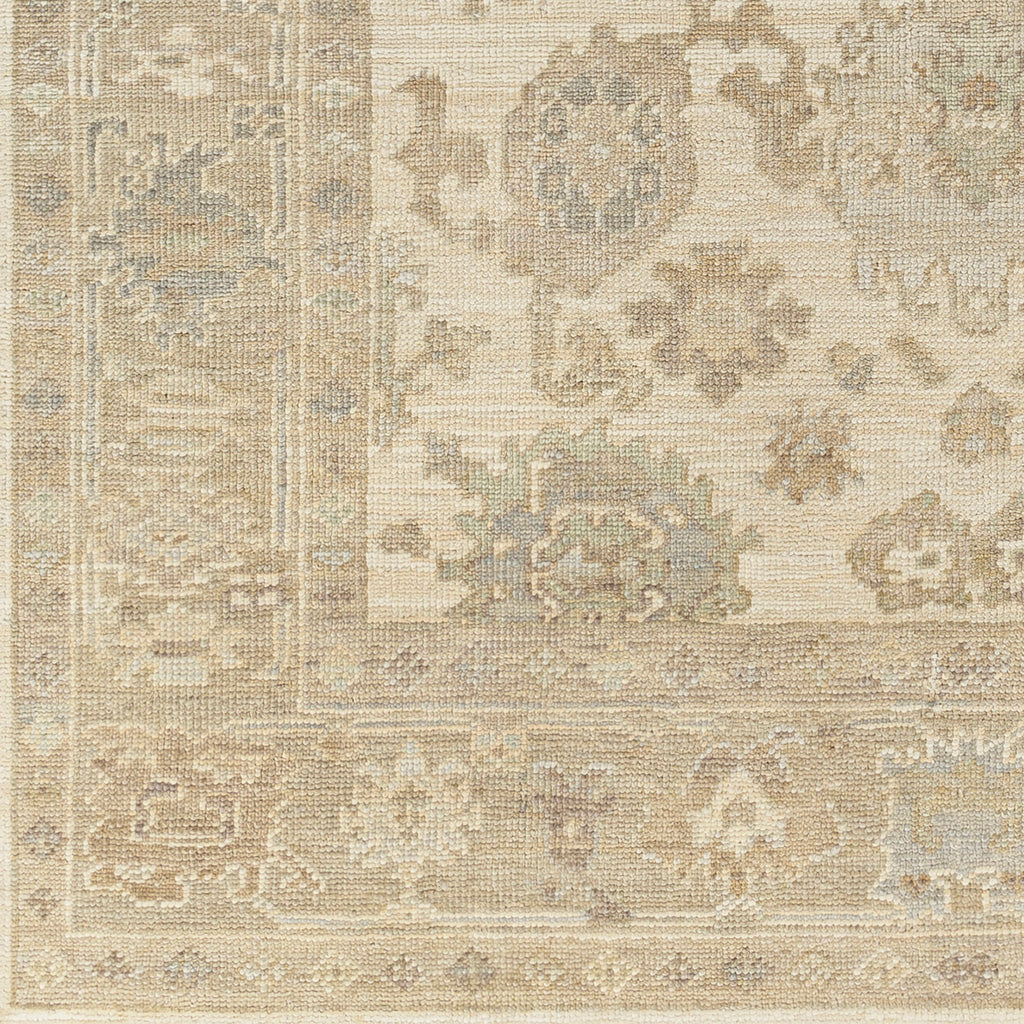surya antalya aat 2304 brown rug