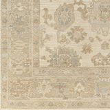 surya antalya aat 2304 brown rug