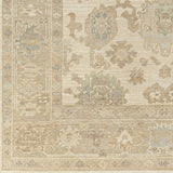 surya antalya aat 2304 brown rug
