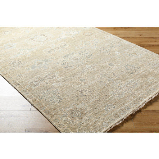 surya antalya aat 2305 light brown rug