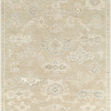 surya antalya aat 2305 light brown rug