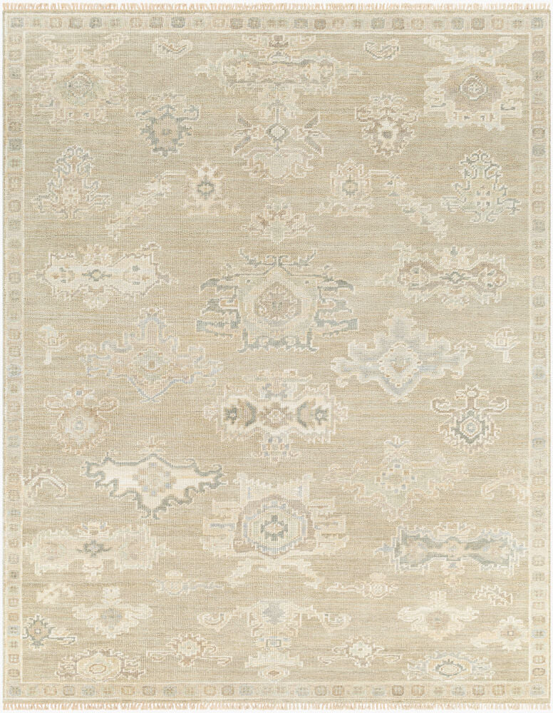 surya antalya aat 2305 light brown rug