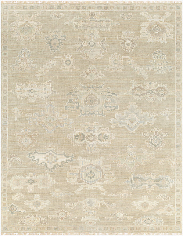 surya antalya aat 2305 light brown rug