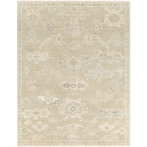 surya antalya aat 2305 light brown rug