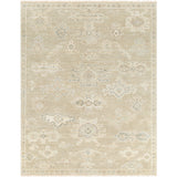 surya antalya aat 2305 light brown rug